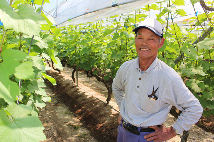 醸造所・レストラン・ショップ・畑を併設した「菊鹿ワイナリー」が2018年秋に完成予定。写真は“幻のワイン”「菊鹿シャルドネ」のブドウ作りをする平川さん。
